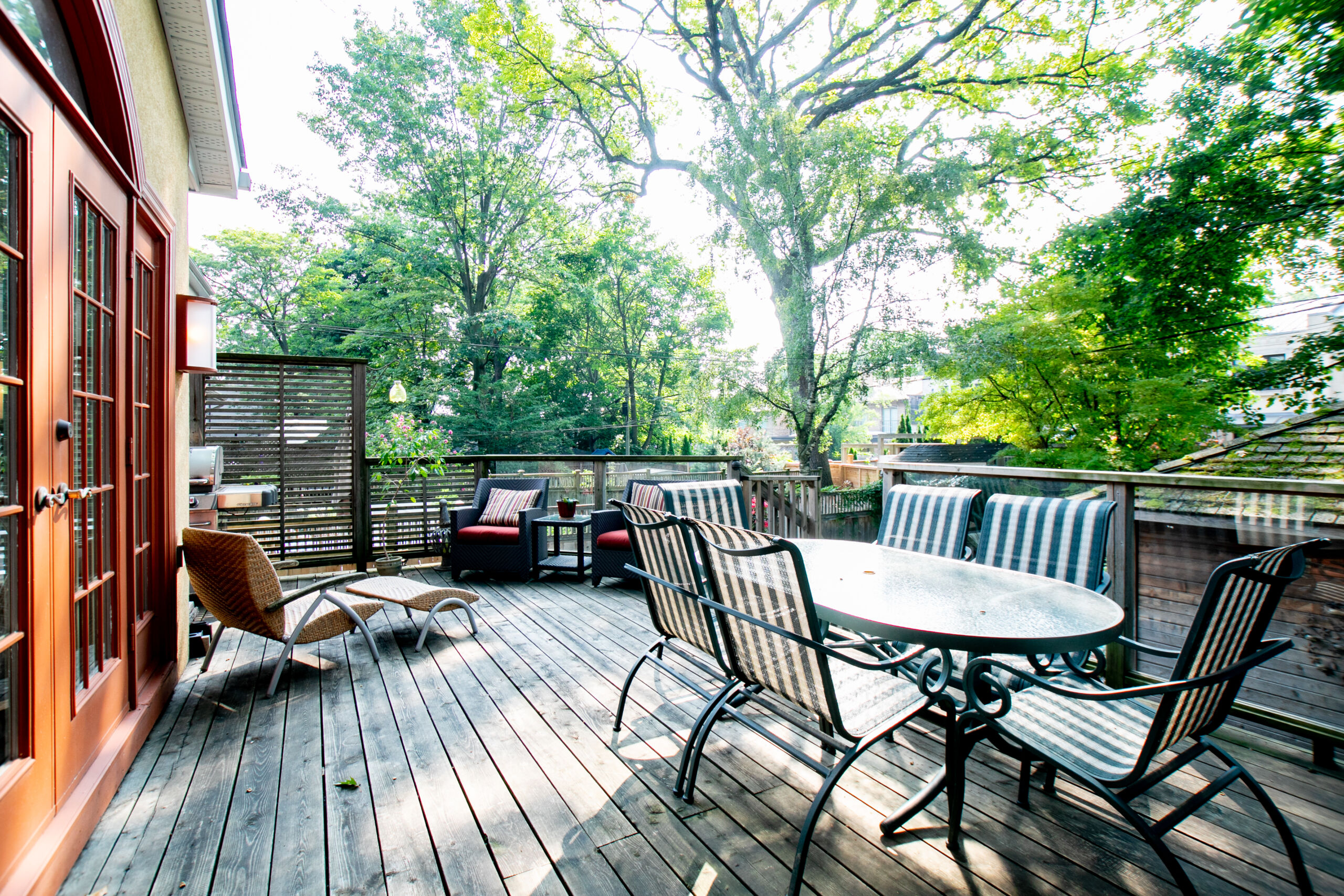 51backyard copy