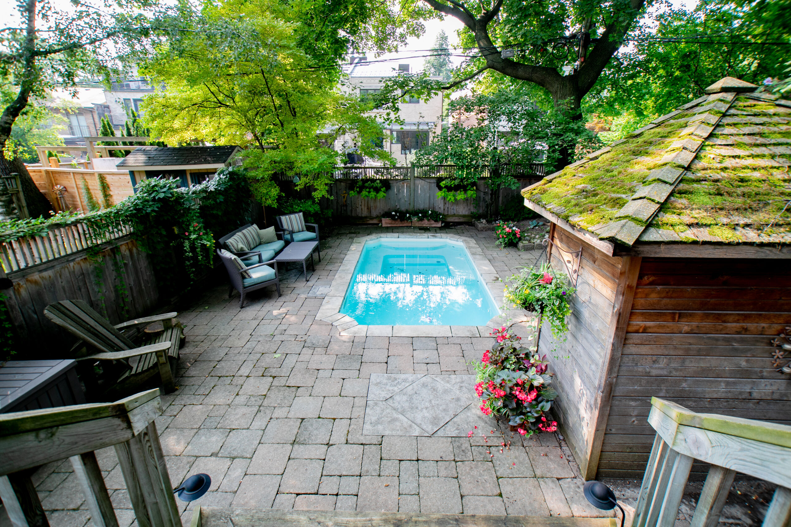 53backyard copy